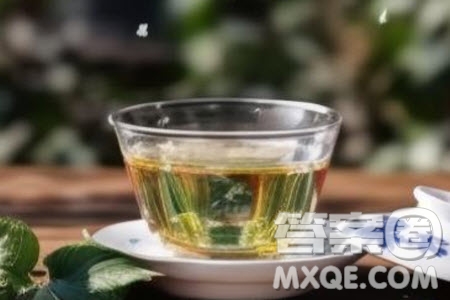 人生中的不圓滿能在藝術(shù)中得到彌補(bǔ)嗎材料作文800字