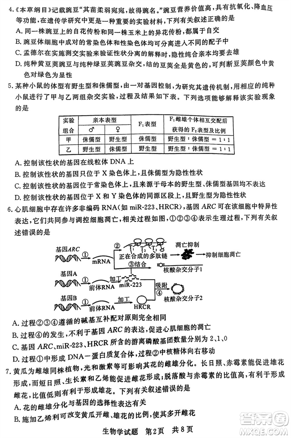 T8聯(lián)考2024屆高三上學期第一次學業(yè)質(zhì)量評價生物參考答案