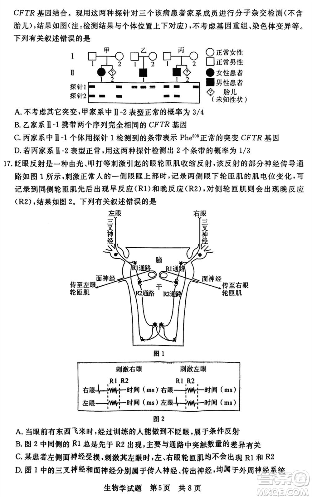 T8聯(lián)考2024屆高三上學期第一次學業(yè)質(zhì)量評價生物參考答案