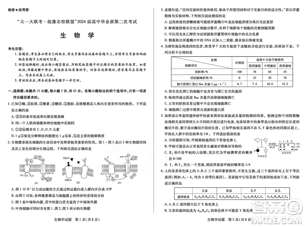 天一大聯(lián)考皖豫名校聯(lián)盟2024屆高中畢業(yè)班上學(xué)期第二次考試生物參考答案