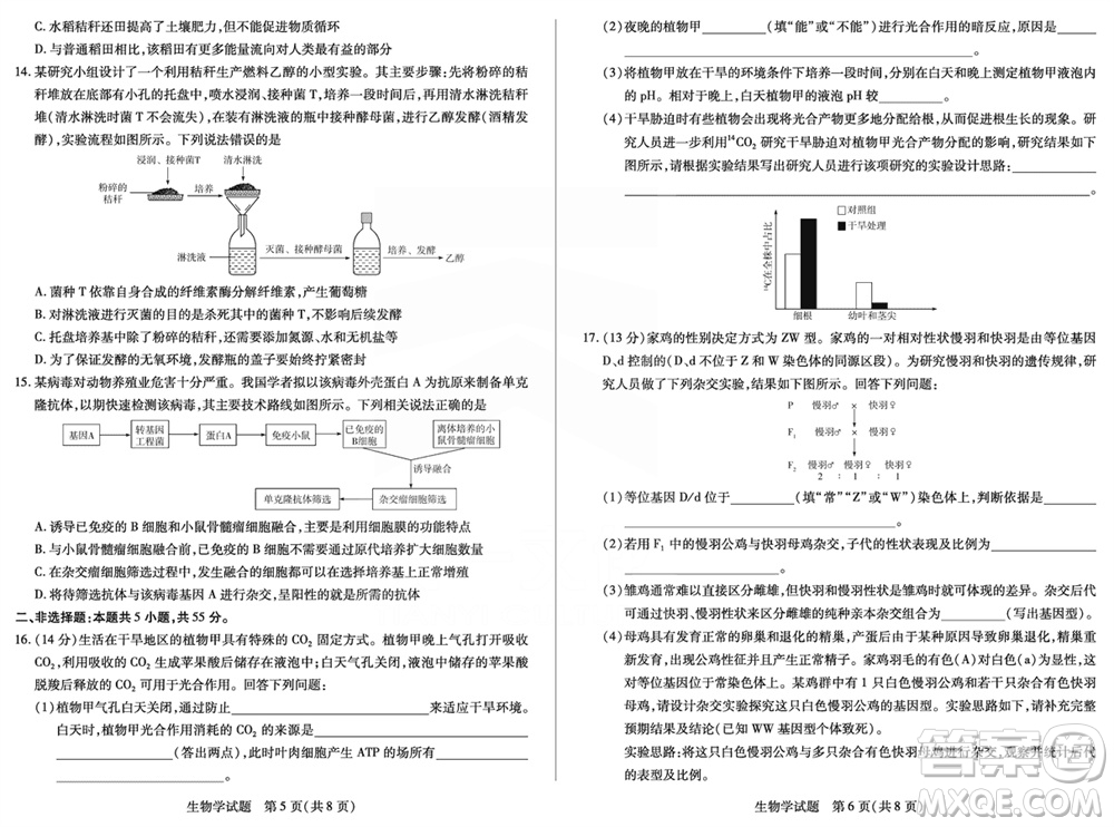 天一大聯(lián)考皖豫名校聯(lián)盟2024屆高中畢業(yè)班上學(xué)期第二次考試生物參考答案