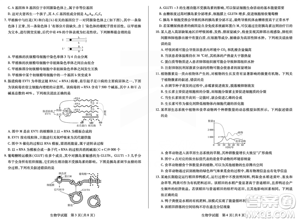 天一大聯(lián)考皖豫名校聯(lián)盟2024屆高中畢業(yè)班上學(xué)期第二次考試生物參考答案