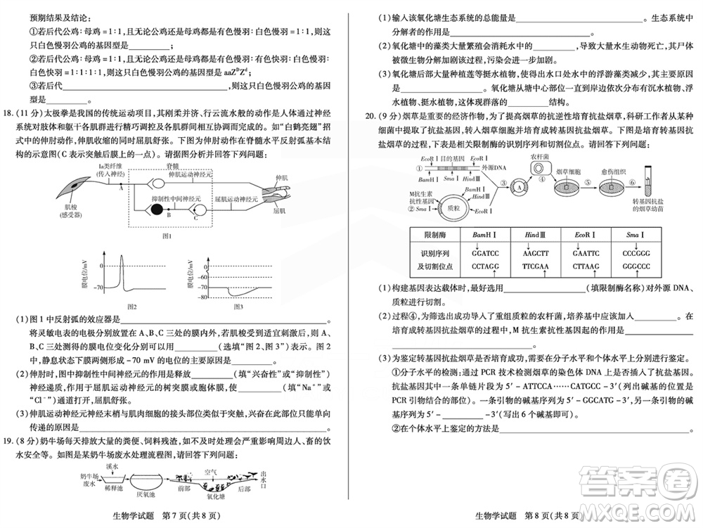 天一大聯(lián)考皖豫名校聯(lián)盟2024屆高中畢業(yè)班上學(xué)期第二次考試生物參考答案