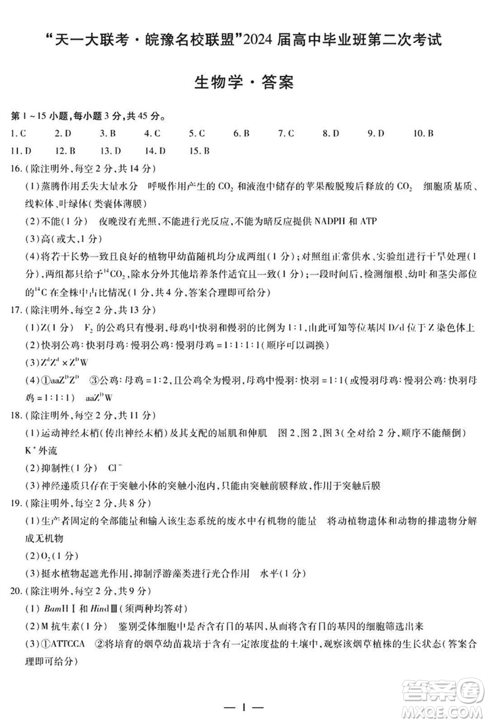 天一大聯(lián)考皖豫名校聯(lián)盟2024屆高中畢業(yè)班上學(xué)期第二次考試生物參考答案