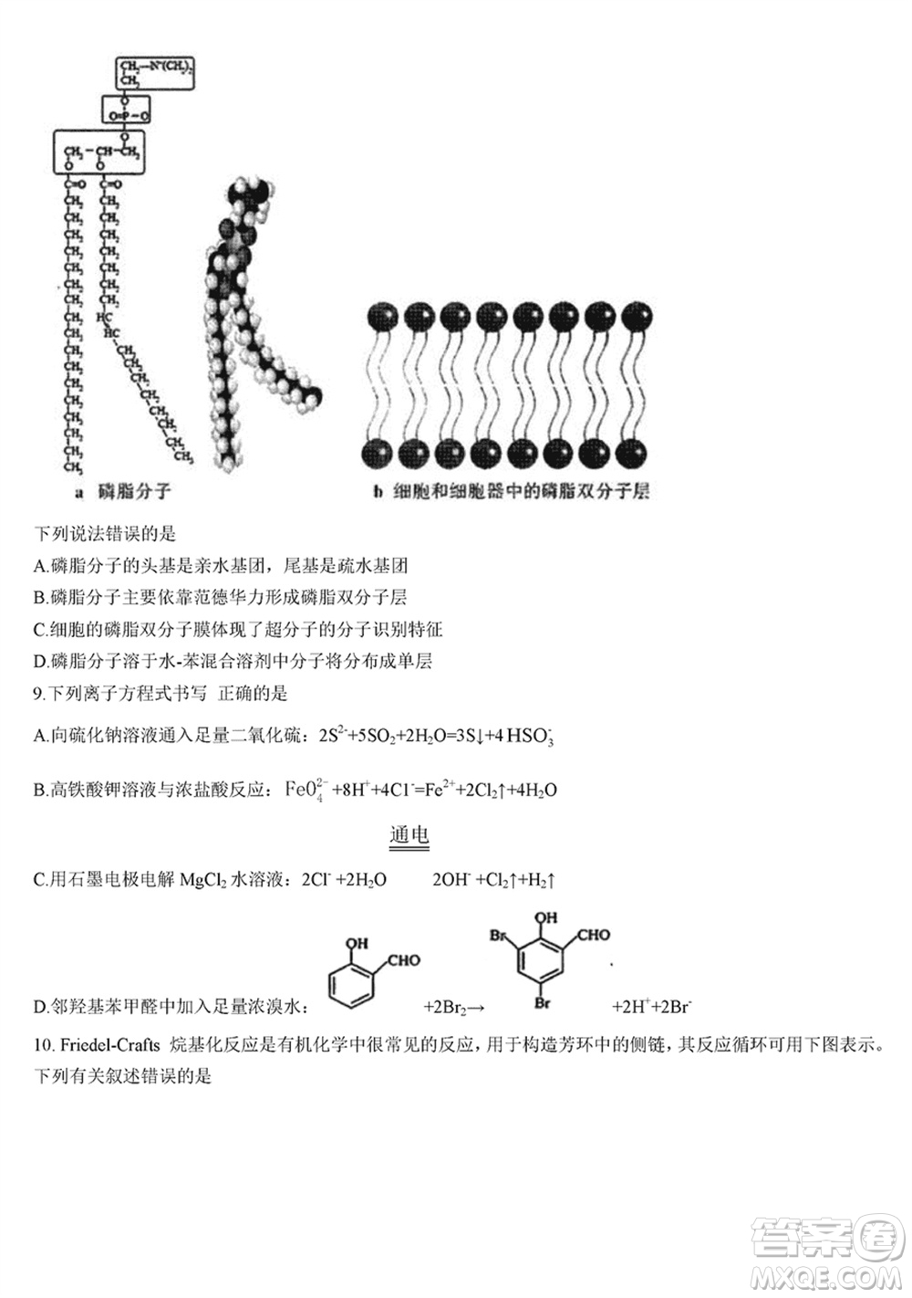 湖北省宜荊荊隨恩2023-2024學(xué)年高三上學(xué)期12月聯(lián)考化學(xué)試卷參考答案