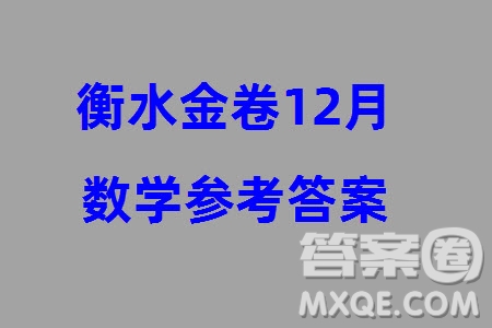 衡水金卷2024屆高三上學(xué)期12月大聯(lián)考數(shù)學(xué)試題參考答案