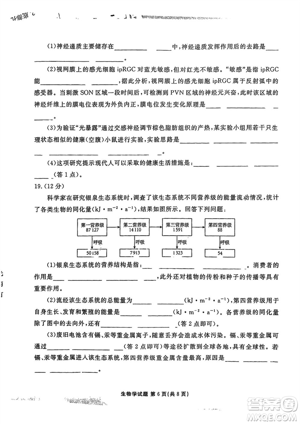 衡水金卷2024屆高三上學(xué)期12月大聯(lián)考生物試題參考答案