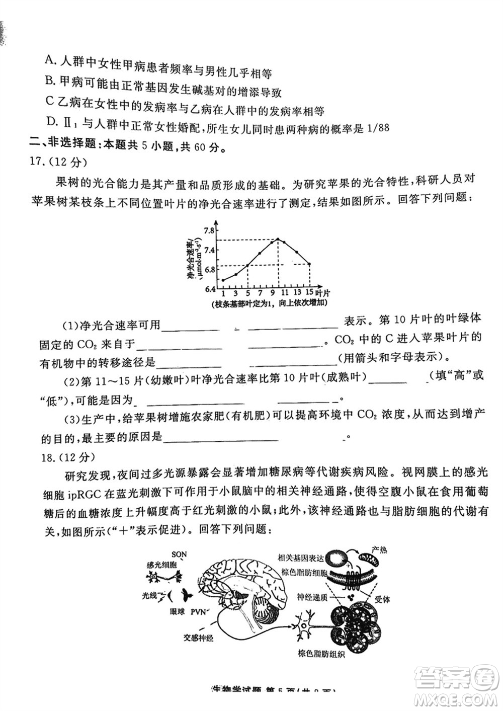 衡水金卷2024屆高三上學(xué)期12月大聯(lián)考生物試題參考答案