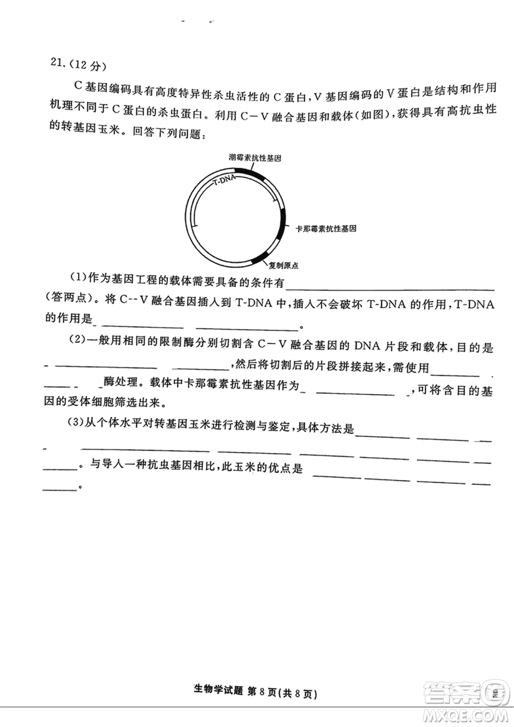 衡水金卷2024屆高三上學(xué)期12月大聯(lián)考生物試題參考答案