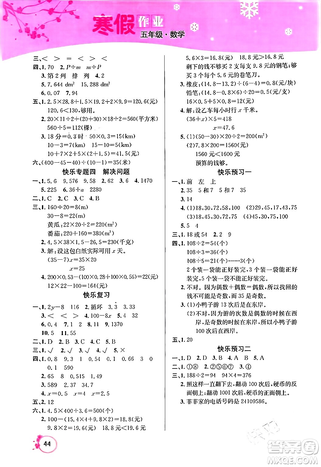 延邊教育出版社2024年快樂(lè)假期寒假作業(yè)五年級(jí)數(shù)學(xué)人教版答案