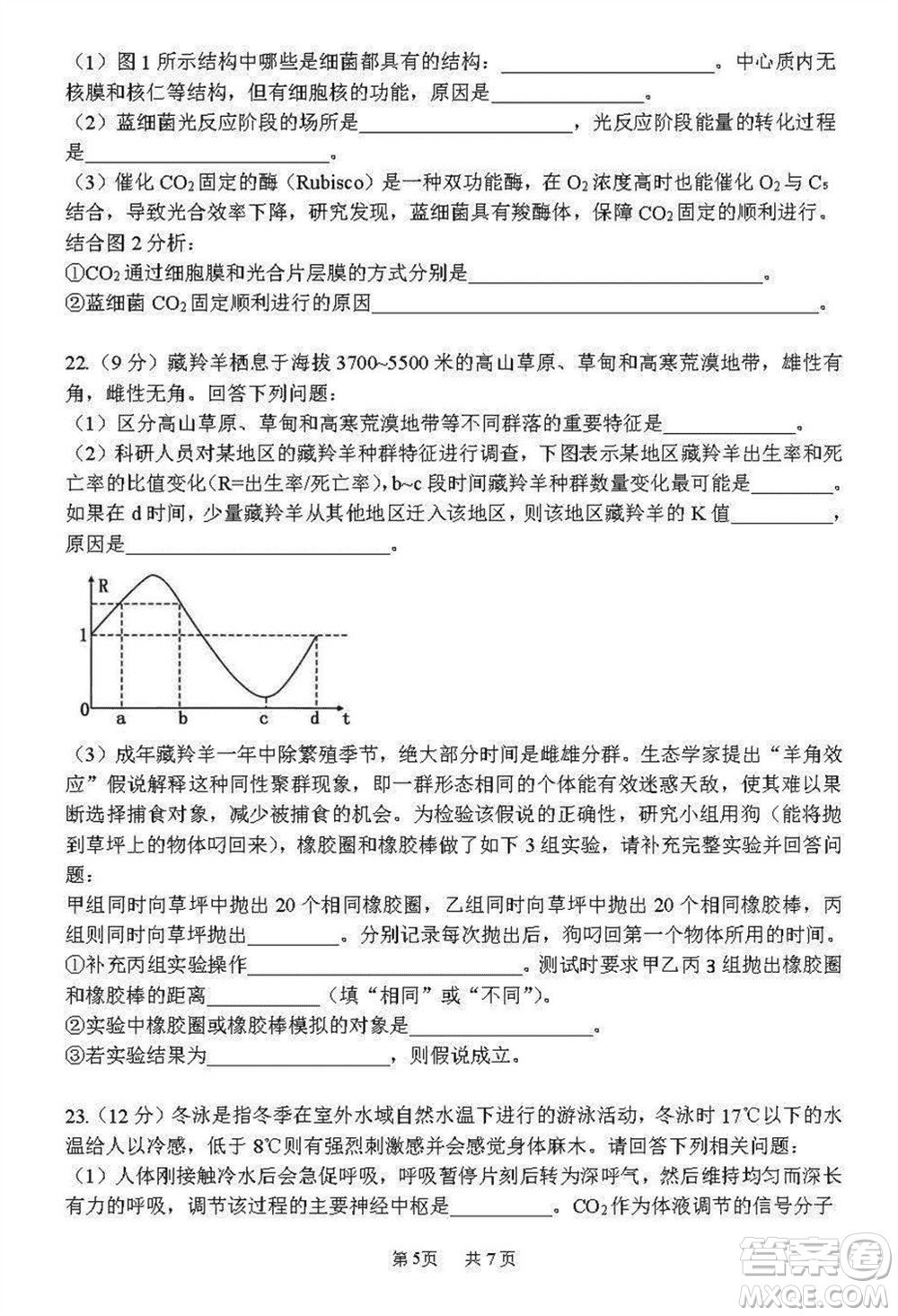 哈三中2023-2024學(xué)年高三上學(xué)期期末考試生物參考答案