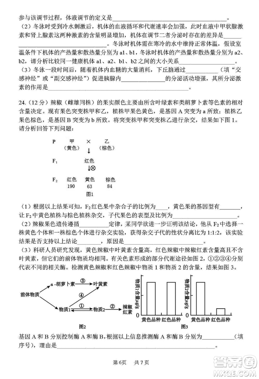 哈三中2023-2024學(xué)年高三上學(xué)期期末考試生物參考答案