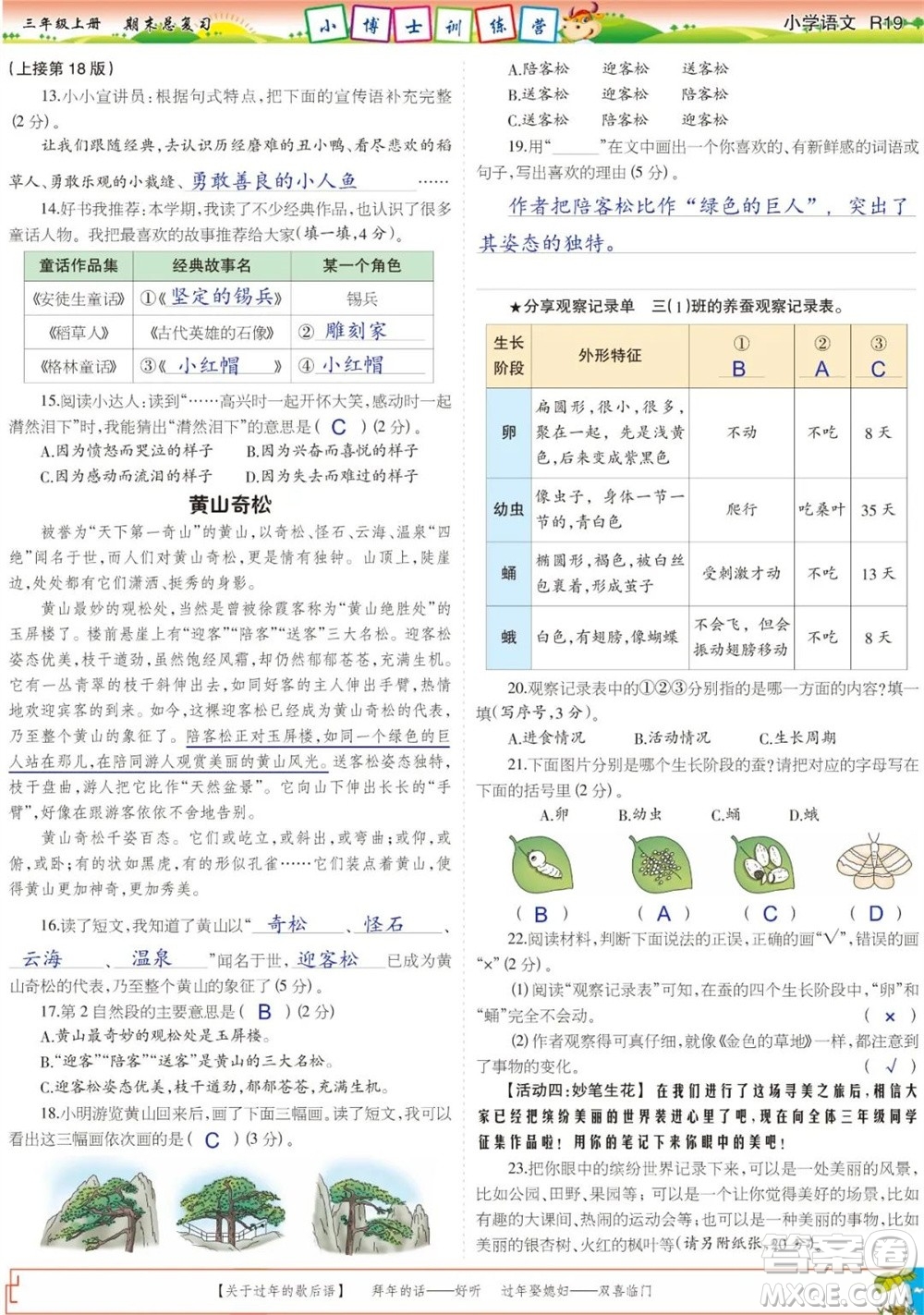 2023年秋少年智力開發(fā)報三年級語文上冊期末總復習合刊參考答案