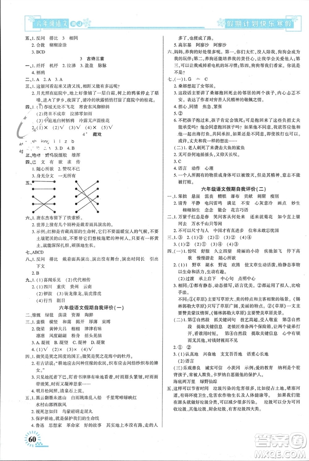 新疆文化出版社2024快樂(lè)寒假假期計(jì)劃六年級(jí)語(yǔ)文人教版參考答案