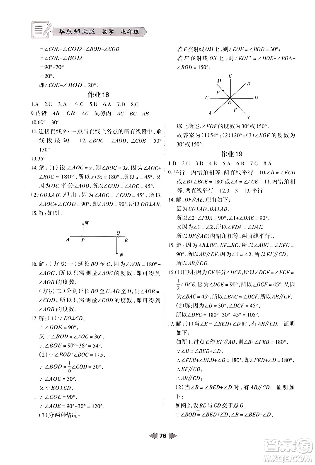 蘭州大學(xué)出版社2024寒假作業(yè)七年級(jí)數(shù)學(xué)華東師大版答案