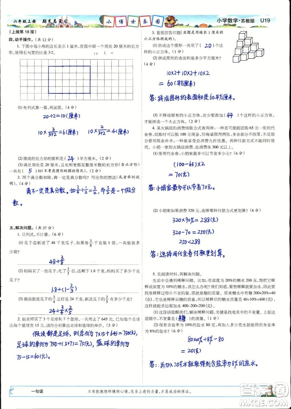 2023年秋少年智力開發(fā)報(bào)六年級數(shù)學(xué)上冊蘇教版期末總復(fù)習(xí)合刊參考答案