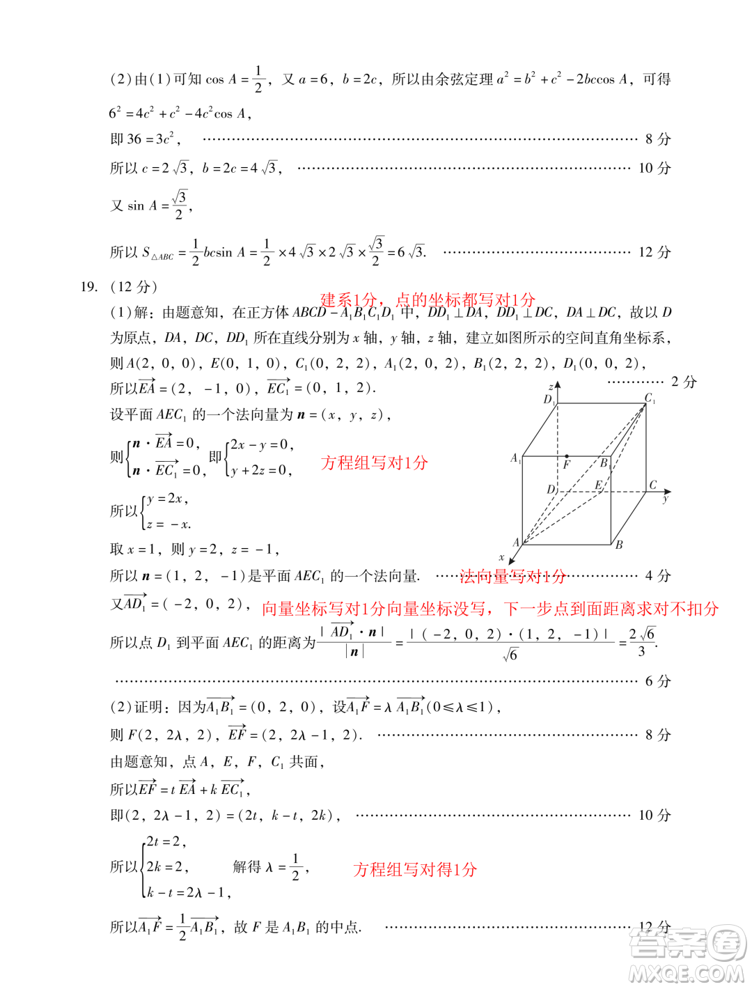 廣東汕尾2023-2024學(xué)年高二上學(xué)期1月期末數(shù)學(xué)試題答案