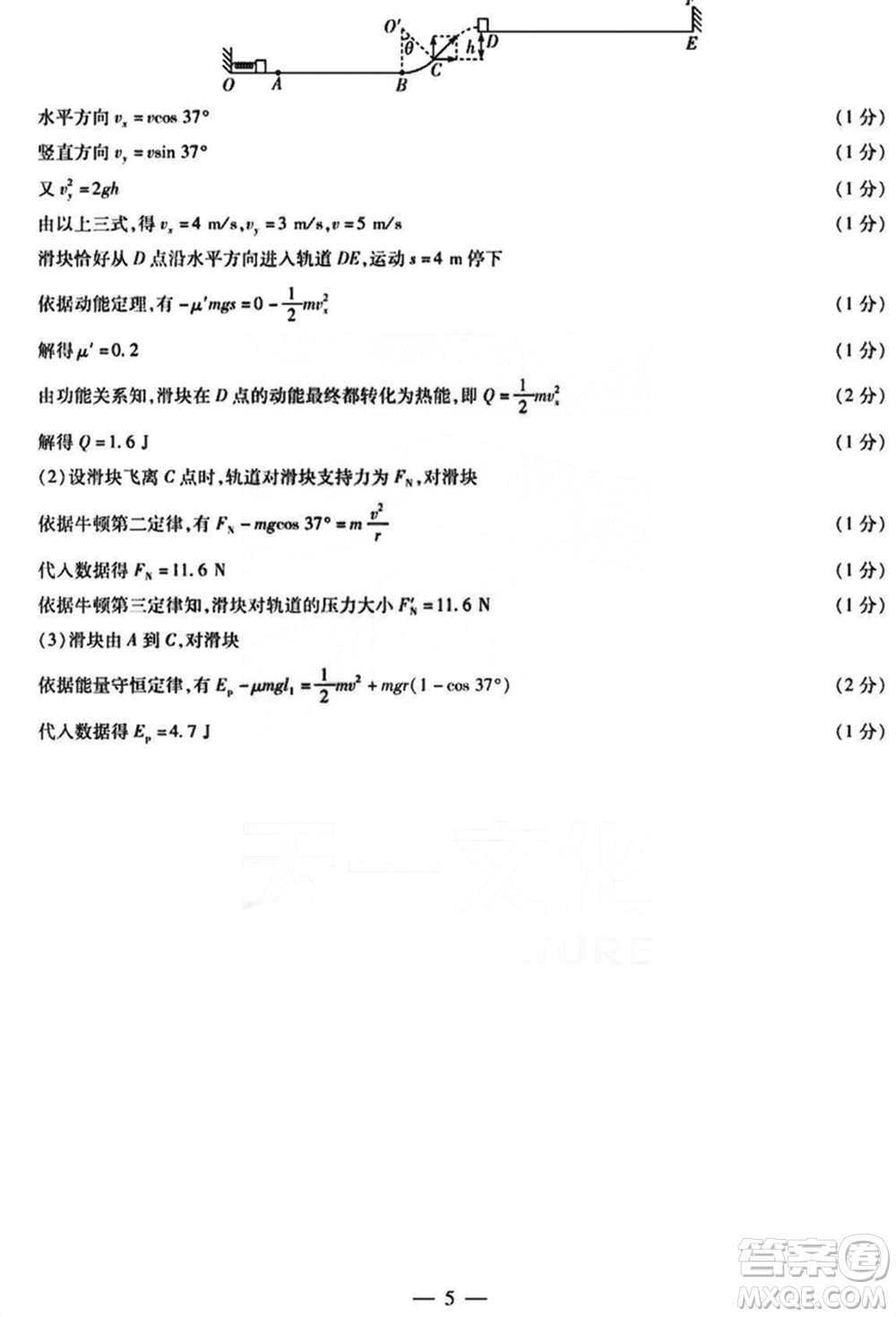 滄衡名校聯(lián)盟2023-2024學(xué)年高三上學(xué)期期末聯(lián)考物理參考答案