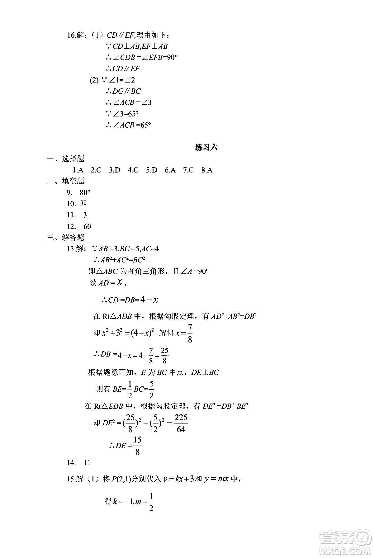 中西書局2024精彩假期寒假作業(yè)八年級合訂本通用版答案