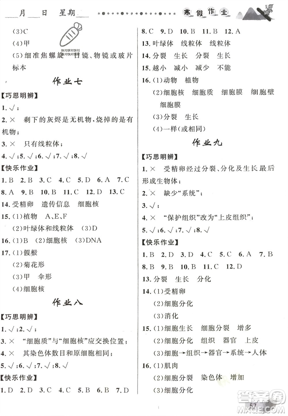 甘肅少年兒童出版社2024寒假作業(yè)七年級生物人教版參考答案