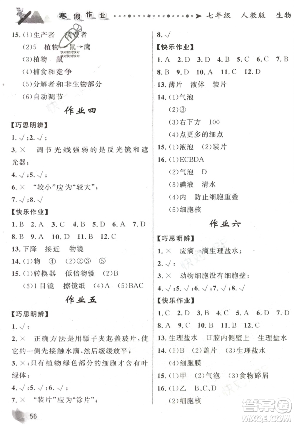 甘肅少年兒童出版社2024寒假作業(yè)七年級生物人教版參考答案