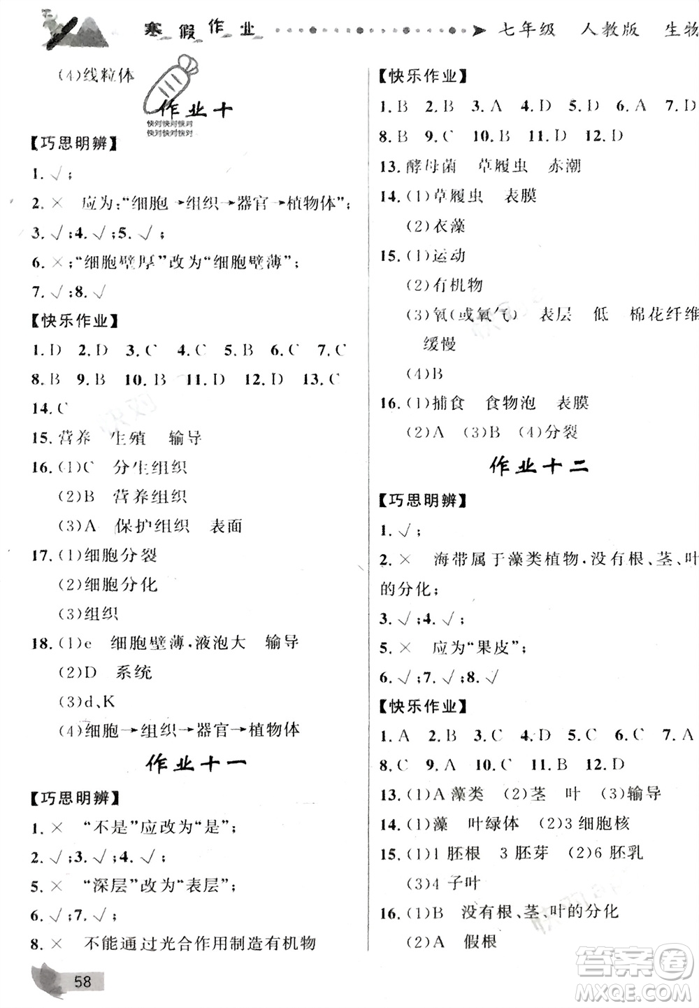 甘肅少年兒童出版社2024寒假作業(yè)七年級生物人教版參考答案