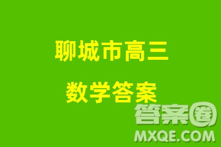 聊城市2023-2024學(xué)年高三上學(xué)期期末教學(xué)質(zhì)量檢測(cè)數(shù)學(xué)參考答案