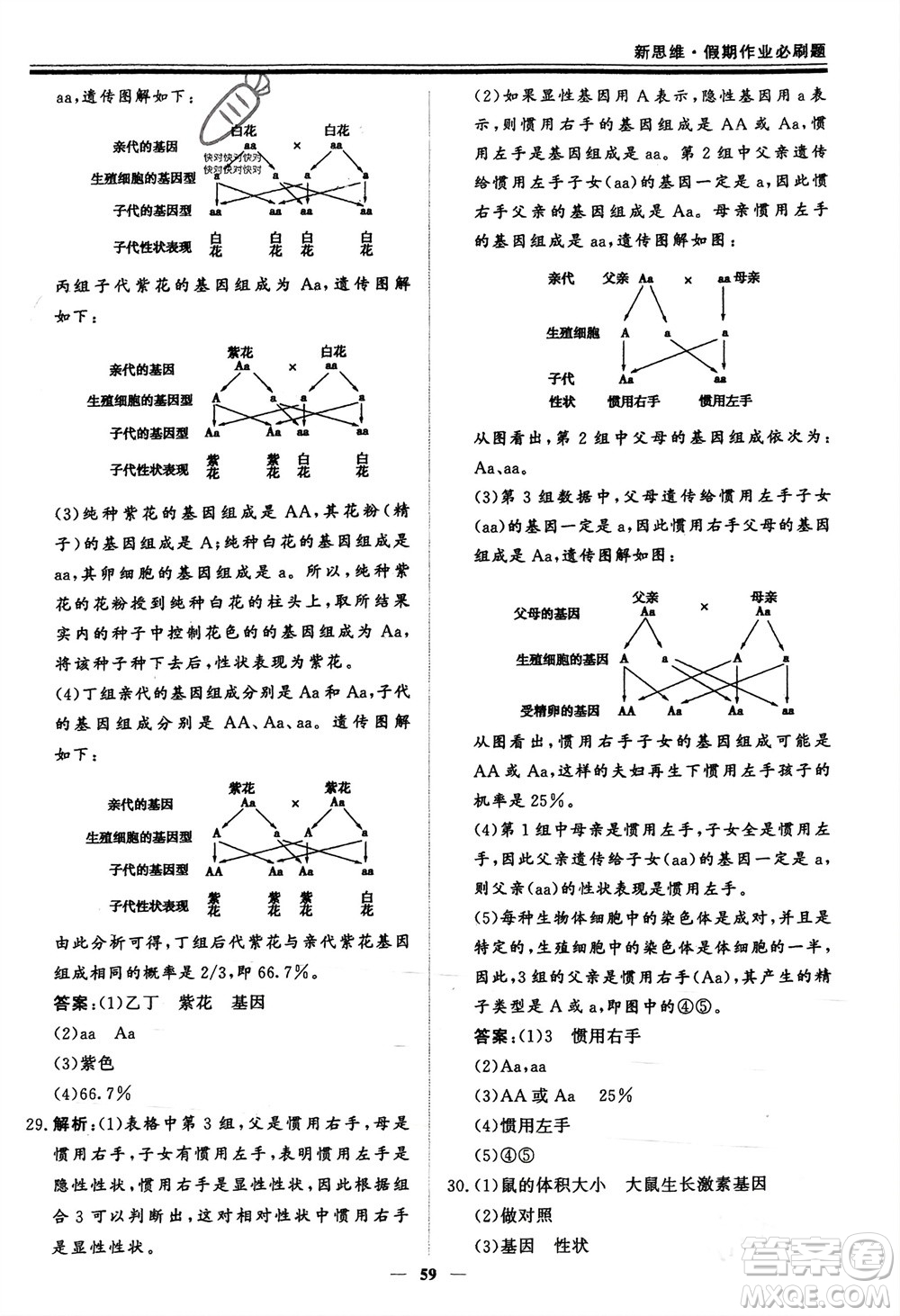 鄭州大學(xué)出版社2024新思維假期作業(yè)必刷題八年級生物北師大版參考答案