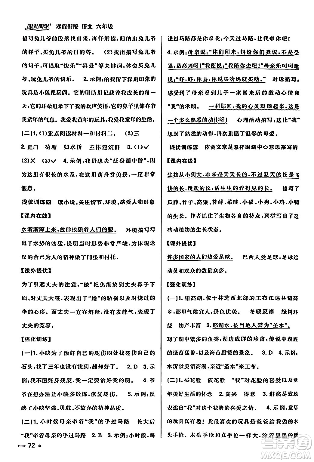 江西教育出版社2024陽(yáng)光同學(xué)寒假銜接六年級(jí)語(yǔ)文通用版答案