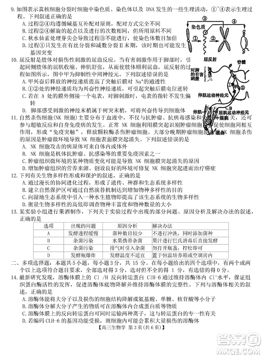 金科大聯(lián)考2024屆高三上學(xué)期1月質(zhì)量檢測(cè)生物參考答案