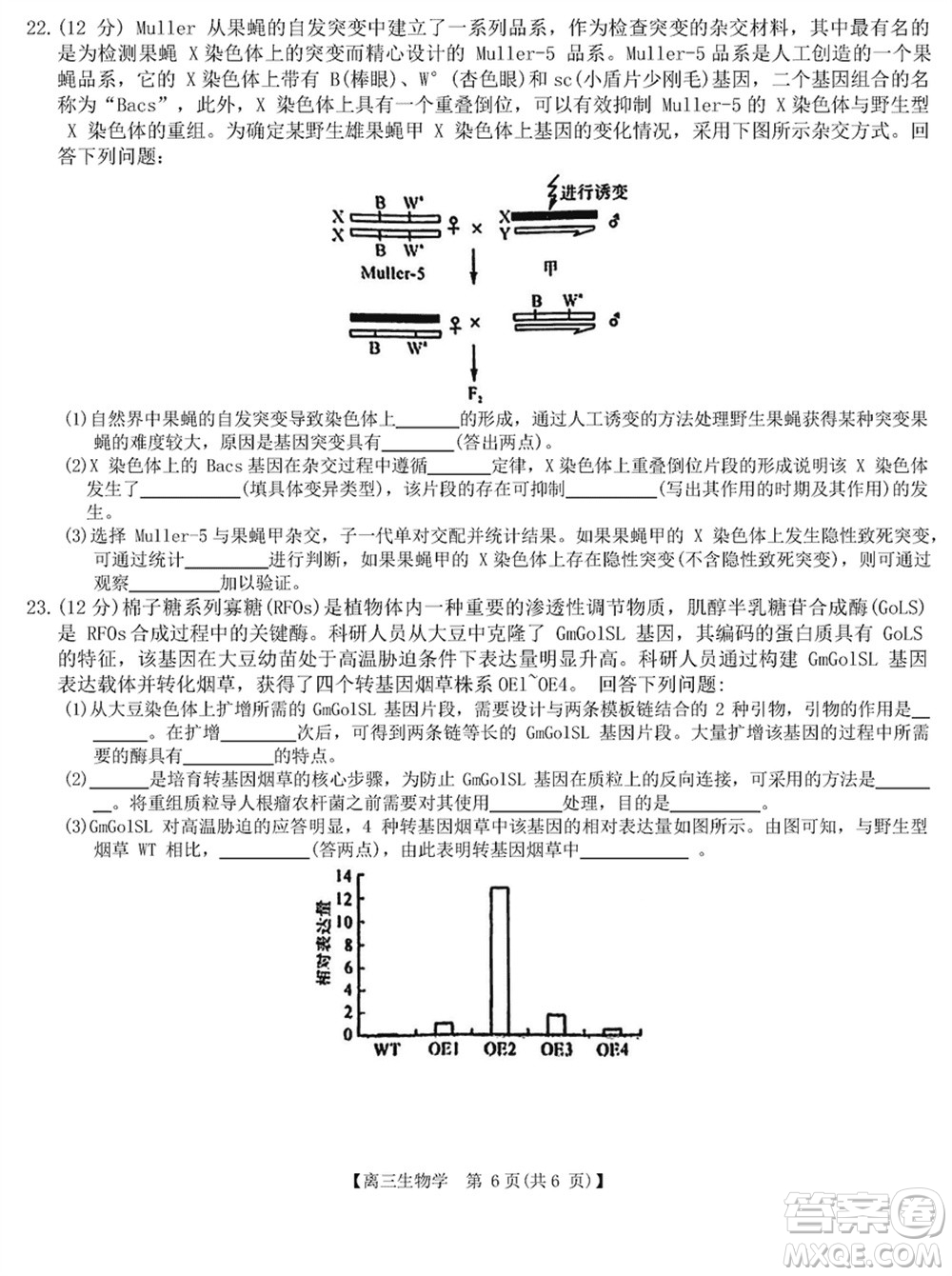 金科大聯(lián)考2024屆高三上學(xué)期1月質(zhì)量檢測(cè)生物參考答案