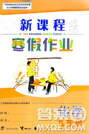 廣西教育出版社2024新課程寒假作業(yè)九年級化學通用版參考答案