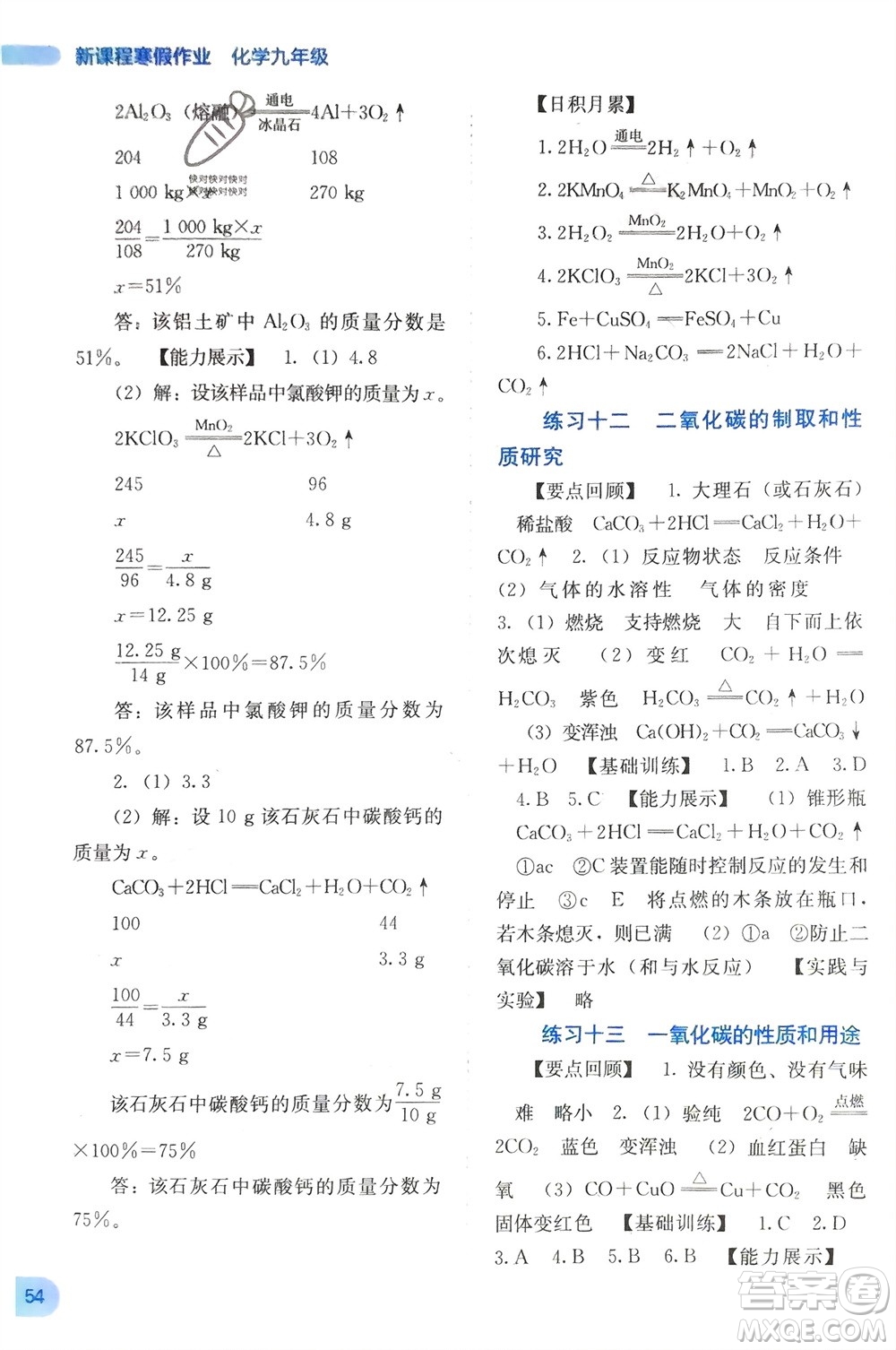 廣西教育出版社2024新課程寒假作業(yè)九年級化學通用版參考答案