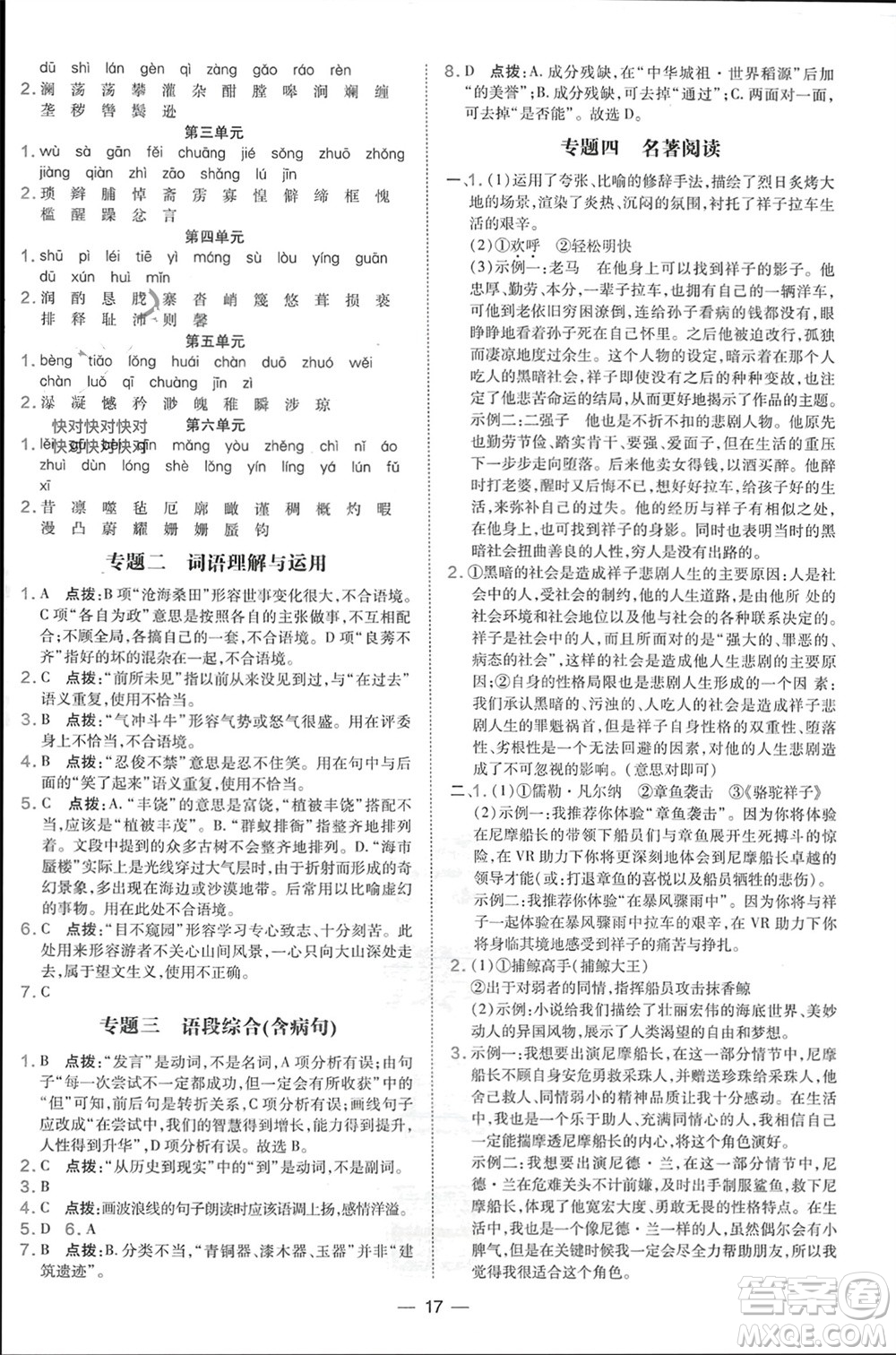 吉林教育出版社2024年春榮德基點(diǎn)撥訓(xùn)練七年級(jí)語(yǔ)文下冊(cè)人教版參考答案