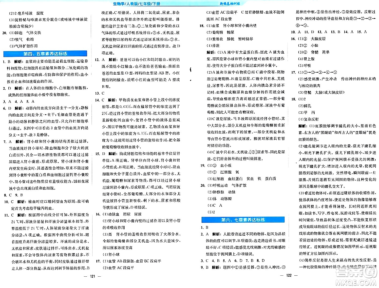 安徽教育出版社2024年春新編基礎訓練七年級生物下冊人教版安徽專版答案