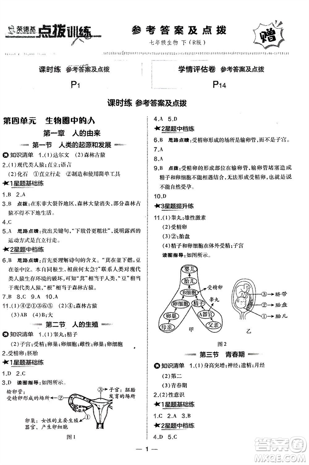 吉林教育出版社2024年春榮德基點撥訓練七年級生物下冊人教版參考答案