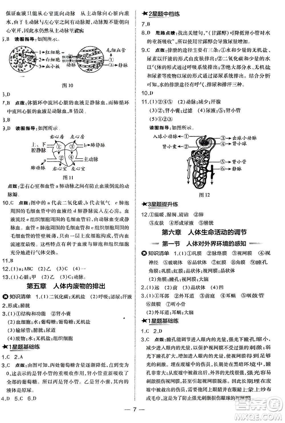 吉林教育出版社2024年春榮德基點撥訓練七年級生物下冊人教版參考答案