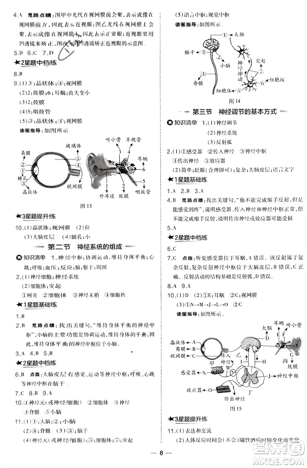 吉林教育出版社2024年春榮德基點撥訓練七年級生物下冊人教版參考答案