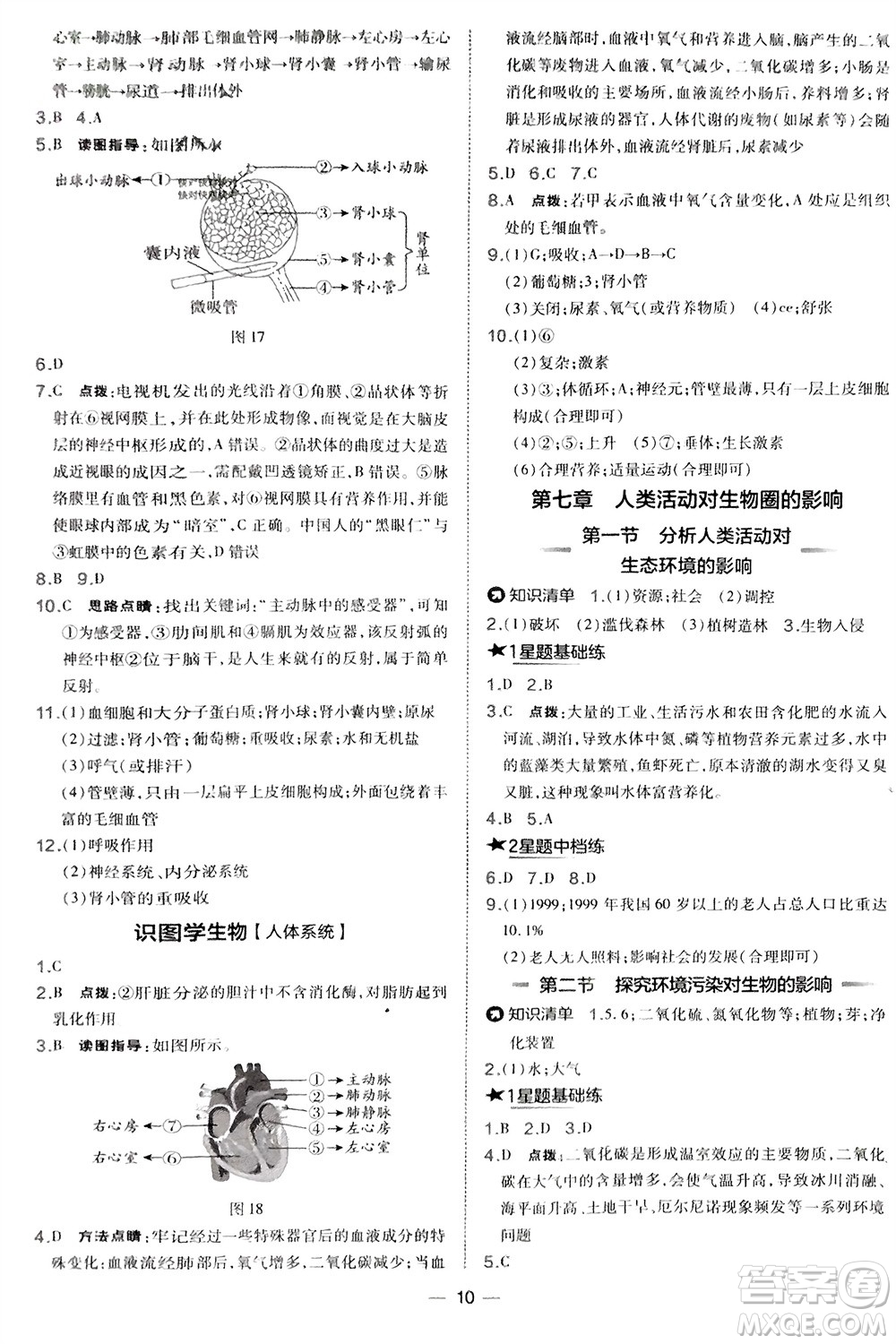 吉林教育出版社2024年春榮德基點撥訓練七年級生物下冊人教版參考答案