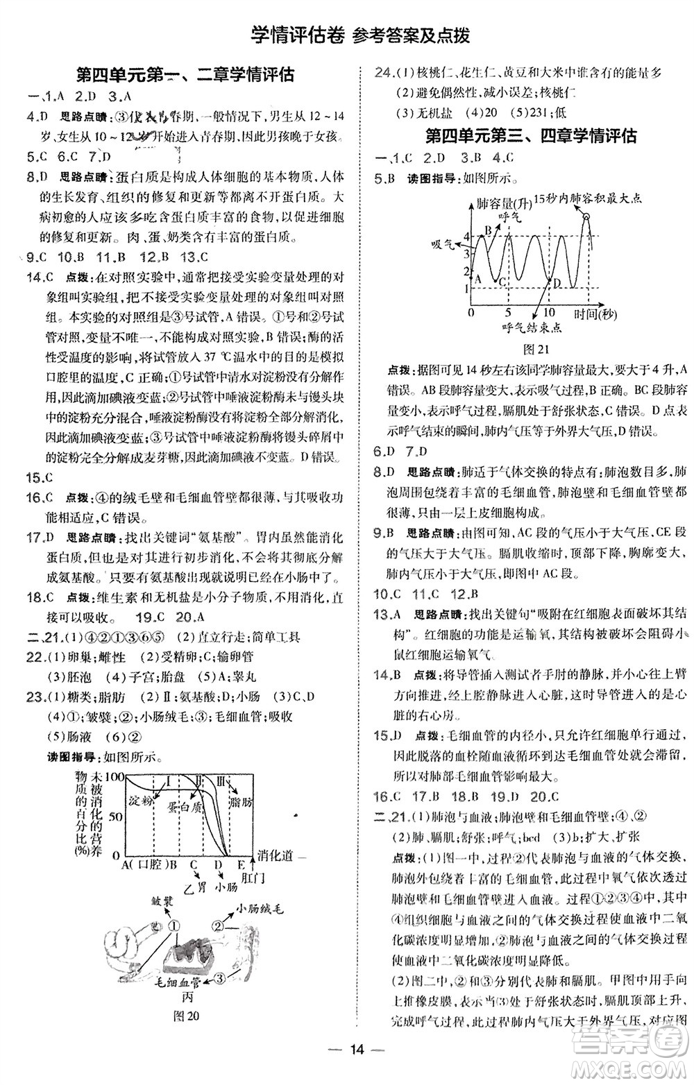 吉林教育出版社2024年春榮德基點撥訓練七年級生物下冊人教版參考答案