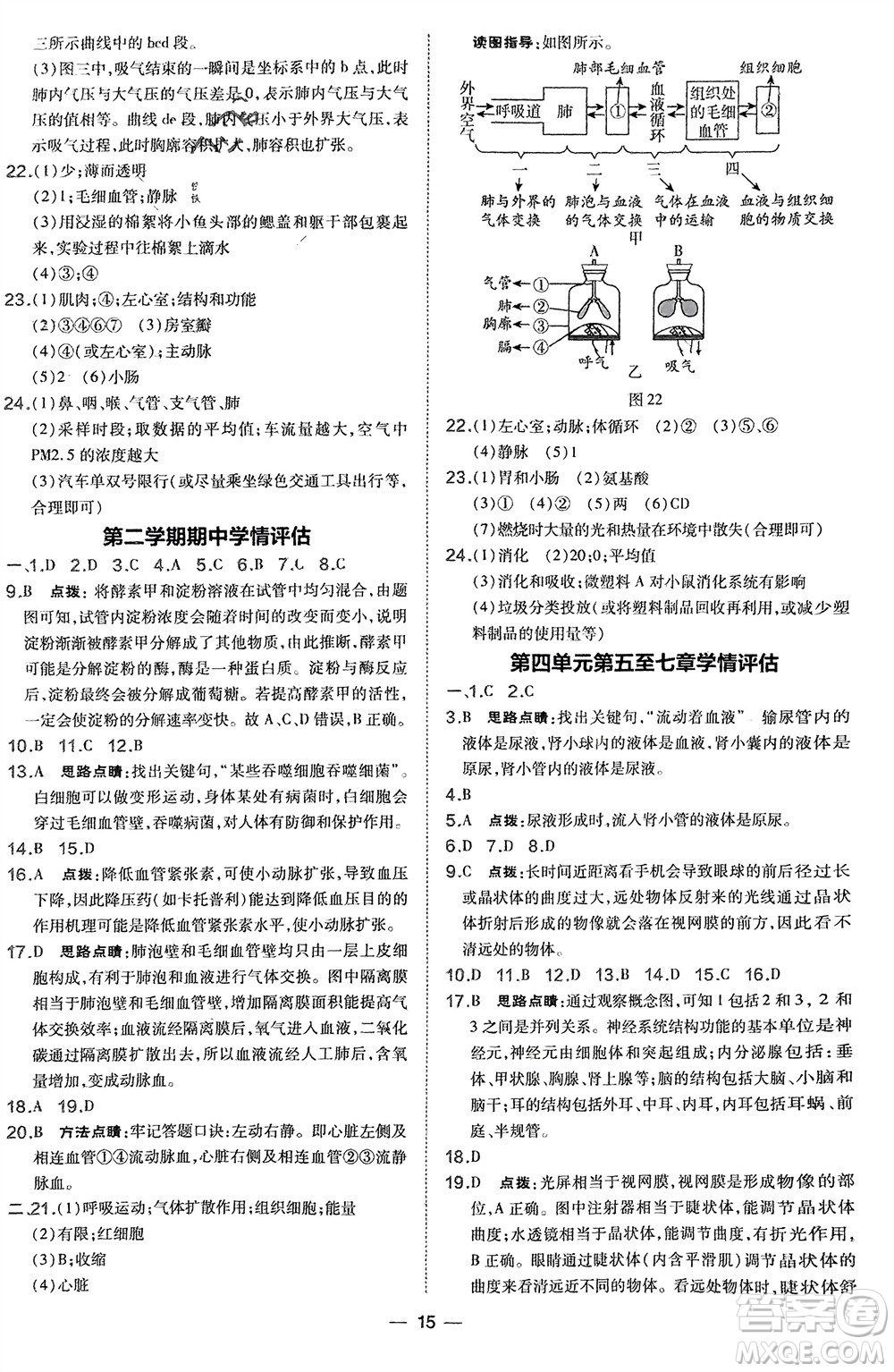 吉林教育出版社2024年春榮德基點撥訓練七年級生物下冊人教版參考答案