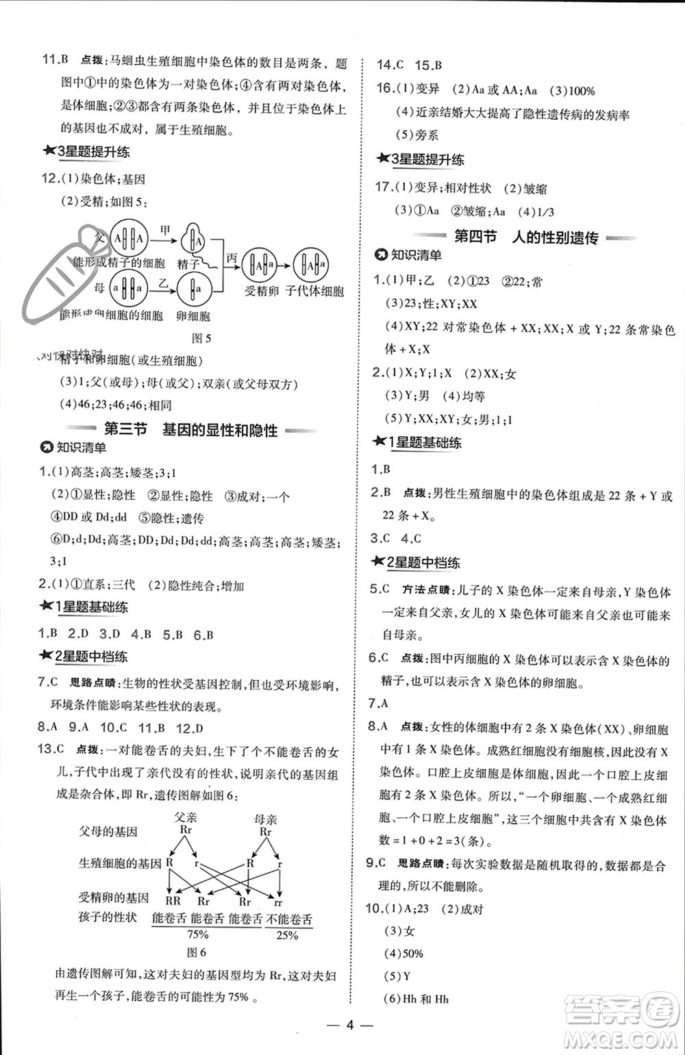 吉林教育出版社2024年春榮德基點撥訓(xùn)練八年級生物下冊人教版參考答案