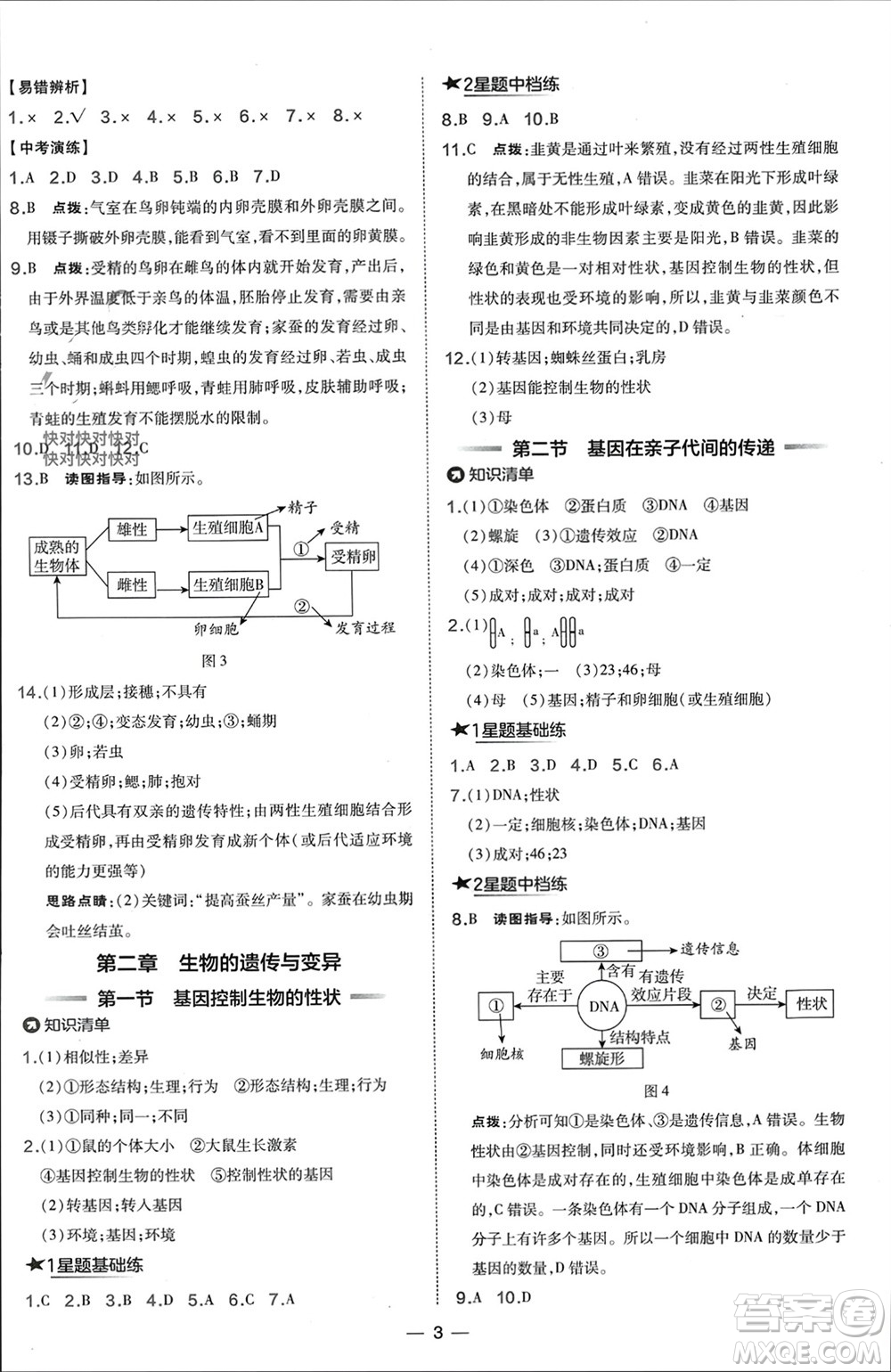 吉林教育出版社2024年春榮德基點撥訓(xùn)練八年級生物下冊人教版參考答案