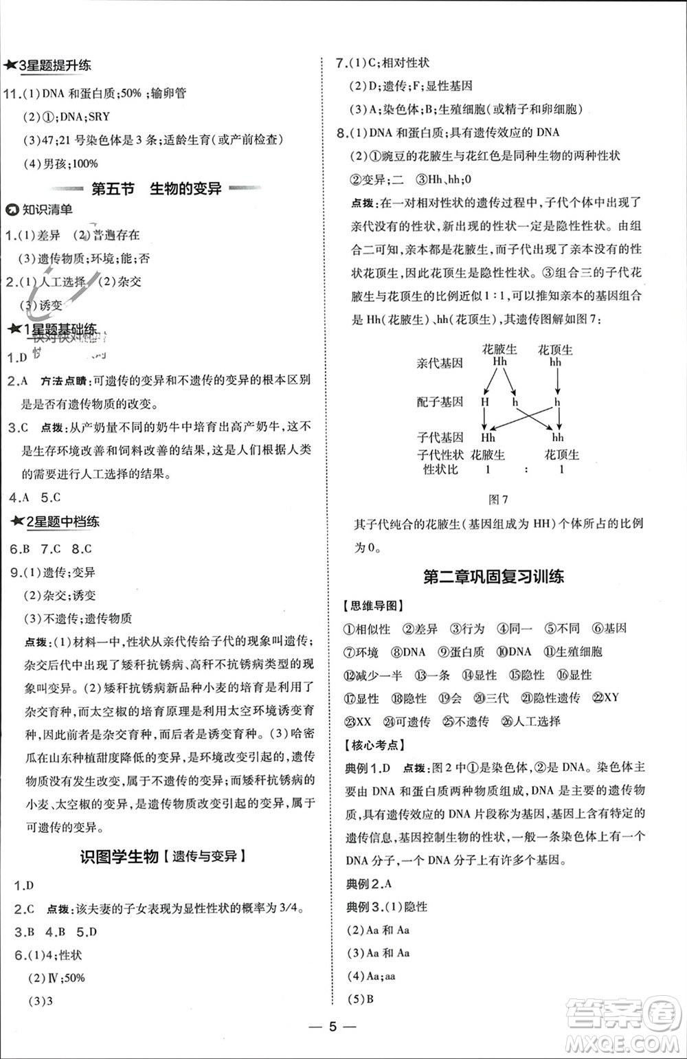 吉林教育出版社2024年春榮德基點撥訓(xùn)練八年級生物下冊人教版參考答案