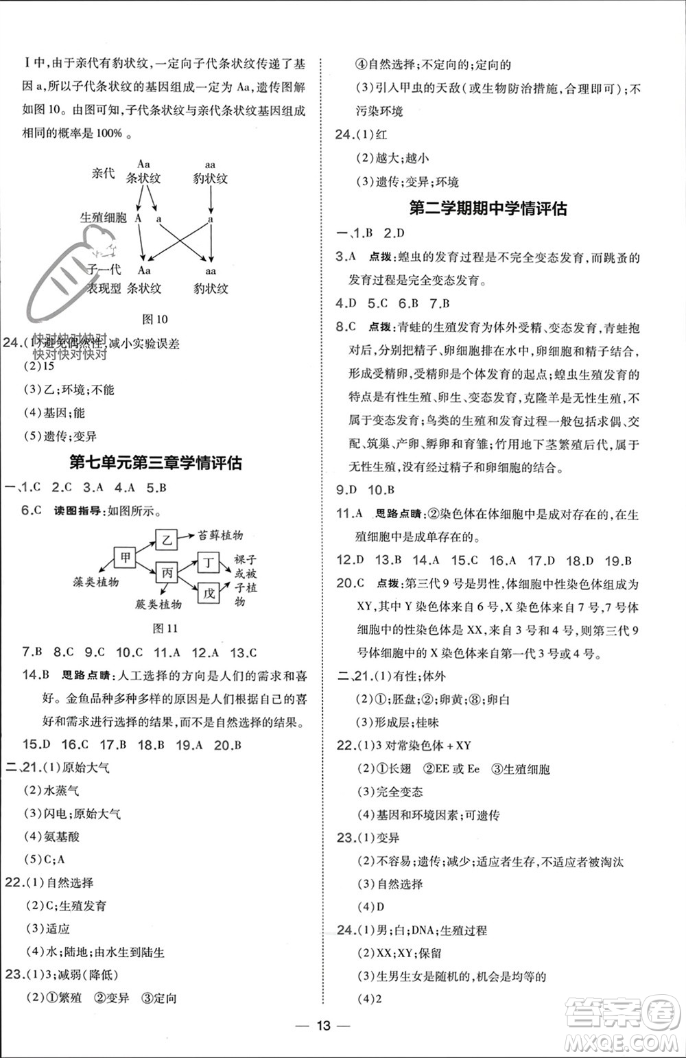 吉林教育出版社2024年春榮德基點撥訓(xùn)練八年級生物下冊人教版參考答案