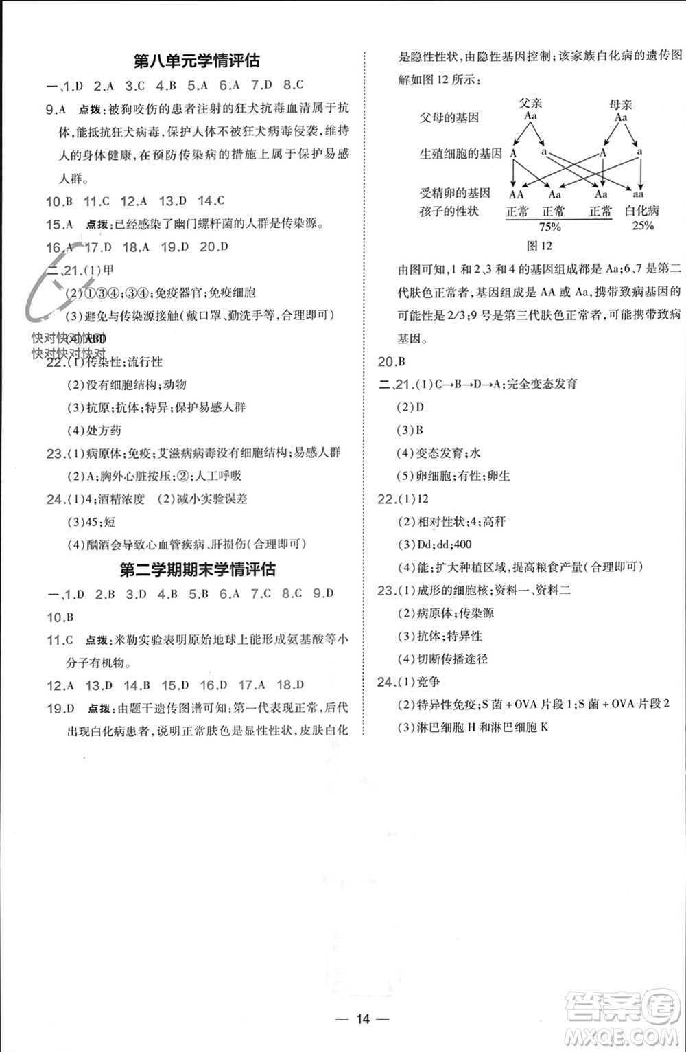 吉林教育出版社2024年春榮德基點撥訓(xùn)練八年級生物下冊人教版參考答案