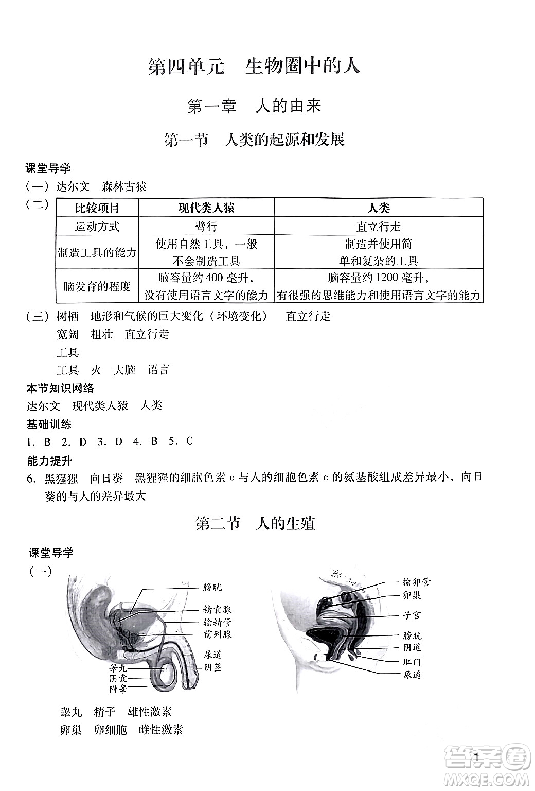 廣州出版社2024年春陽(yáng)光學(xué)業(yè)評(píng)價(jià)七年級(jí)生物下冊(cè)人教版答案