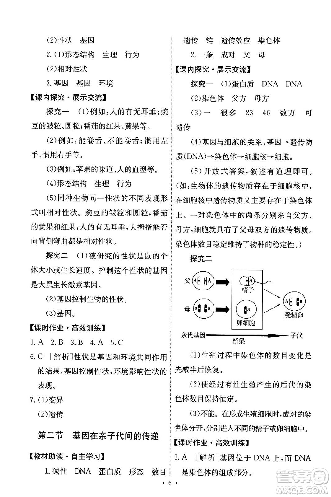 人民教育出版社2024年春能力培養(yǎng)與測試八年級生物下冊人教版答案