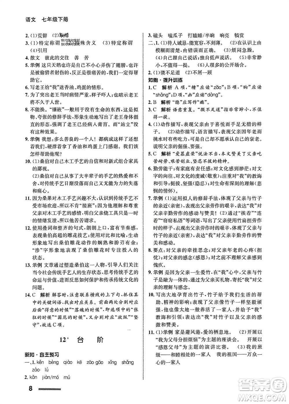 甘肅少年兒童出版社2024年春配套綜合練習(xí)七年級語文下冊人教版參考答案