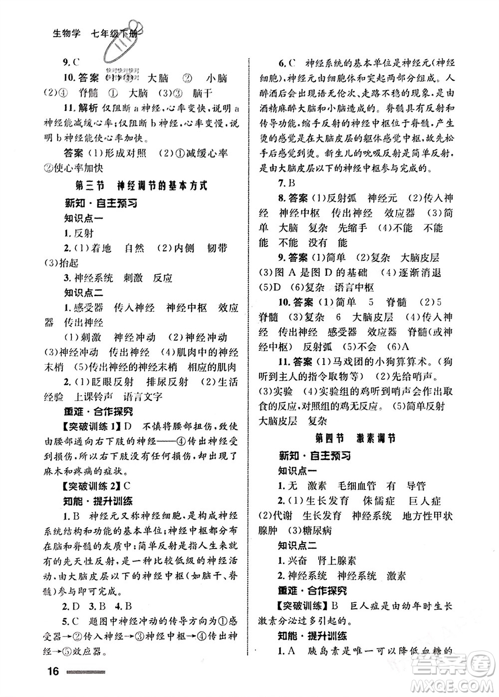 甘肅教育出版社2024年春配套綜合練習七年級生物下冊人教版參考答案